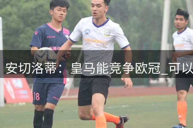 安切洛蒂：皇马能竞争欧冠 可以依赖本泽马是好事